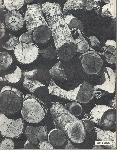 Kubasaki Torii - Okinawa School - Yearbook