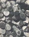 Kubasaki Torii - Okinawa School - Yearbook