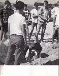 Kubasaki Torii - Okinawa School - Yearbook