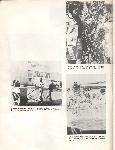 Kubasaki Torii - Okinawa School - Yearbook